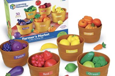 Learning Resources Farmers Market Color Sorting Set Just $17.49 (Reg. $46)!